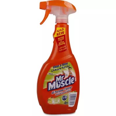 Mr.Moscle 500ml lime
